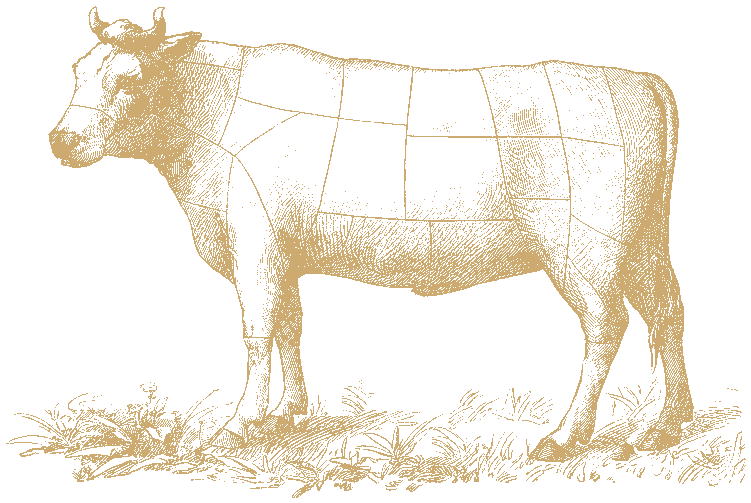 Engraving of a steer divided into butcher's cuts